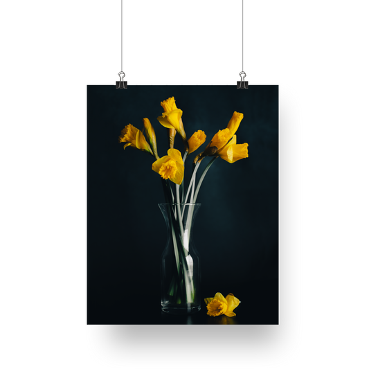 Still Life Photography Fine Art | Yellow Daffodils| New Beginnings | Interior Decor Wall Art