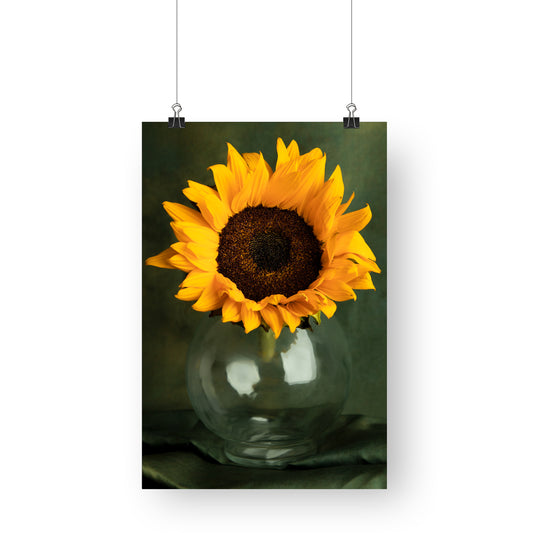 Still Life Photography | Sunflower Sun Will Shine | Interior Decor  Wall Art Print | Canvas | Metallic Photo