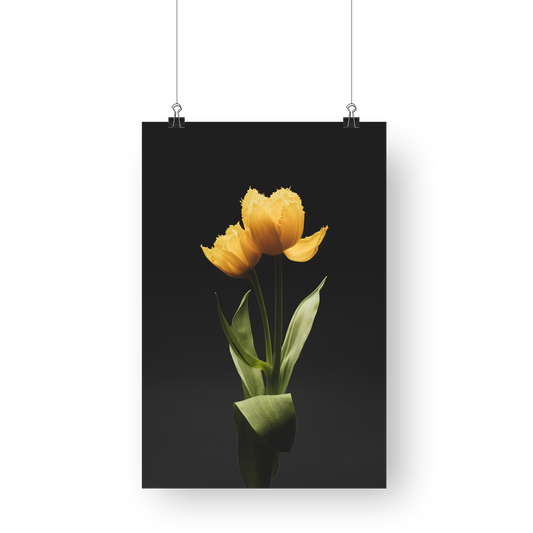 Flower Photography | Yellow Tulip Oshun -   Fine Art - Wall Interior decor